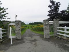The Gateway to Sunflowers- Isle de 'Orleans