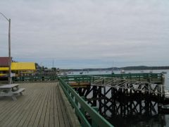 Belfast Maine-Harbor scene.jpg