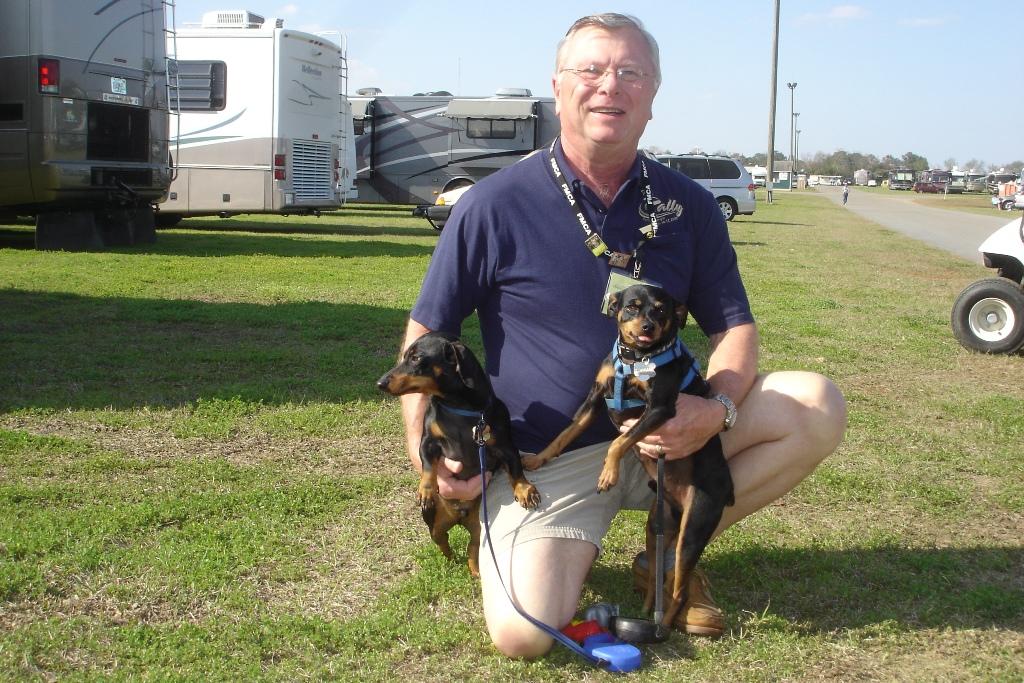 Dachshund, miniature pinscher