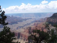 North Rim Grand Canyon NP