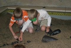 The Boys Enjoyed Digging for Dinosaur Bones