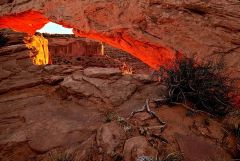 _DSC3596UtahCanyonlandsMesaArch.jpg