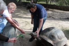 Louise  feed Houston the Galapagos Tortoise.jpg