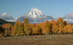 Fall in the Tetons