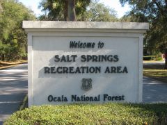 Dec 18th - 23rd, 2011 Salt Springs, FL