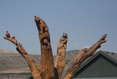 Tree Sculpture   Animals