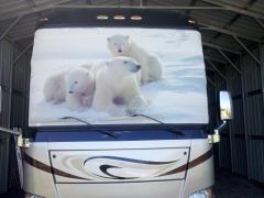 Polar Bear windshield sunscreen