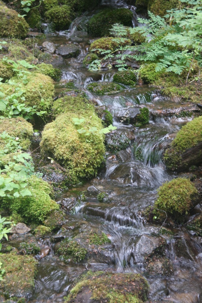 Small stream rapids