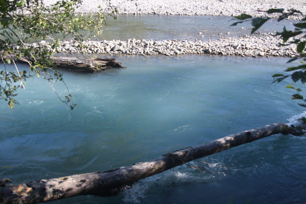 Blue water Of Hoh River