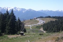 Hurricane Ridge