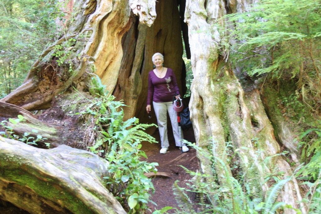 2 Louise Inside Western Red Cedar