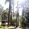 Campsite, Custer State Park