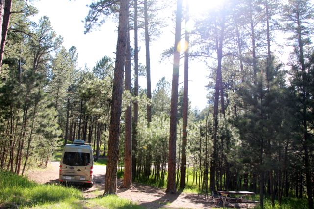 Campsite, Custer State Park