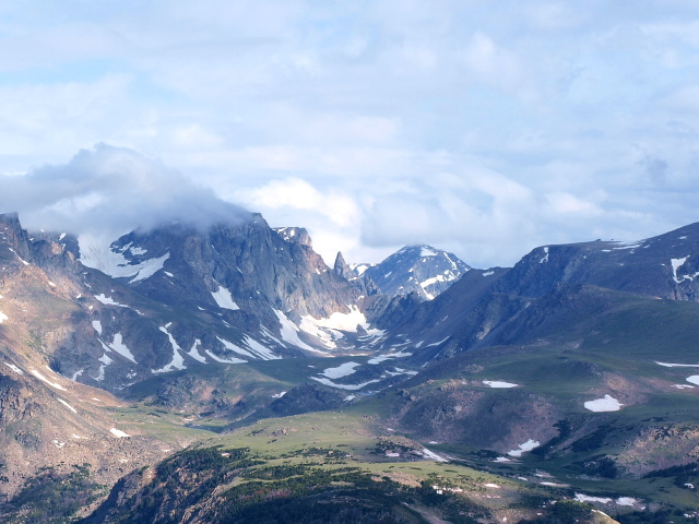 Bear's tooth