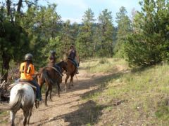 Horseback riding in the Rockies