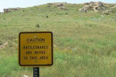 Rattle snake sign