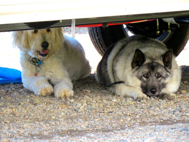 Under the trailer