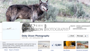 Deby Dixon Facebook page