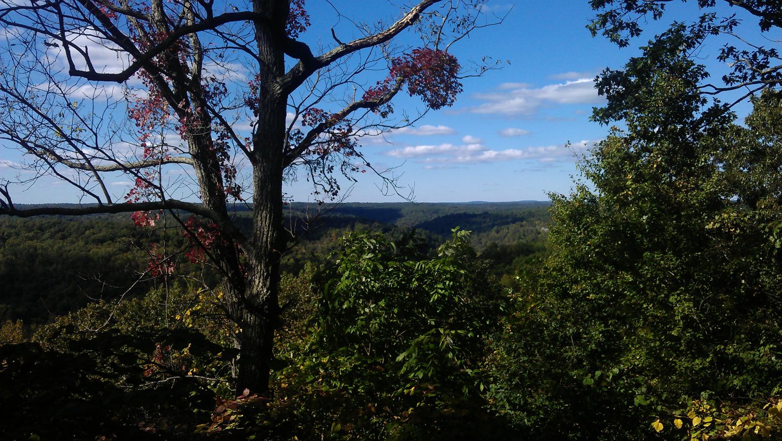 Daniel Boone National Forest.