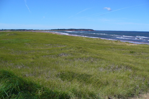 Atlantic Shore and Dunes at Twin Shores CG