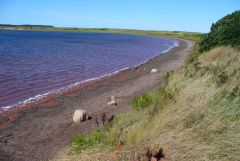 Darnley Basin at Twin Shores CG