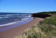 Atlantic Shore looking east from edge of field at Twin Shores CG