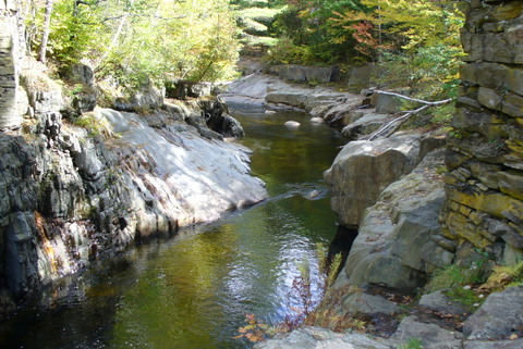 Maine Foliage Trip