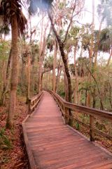 Boardwalk