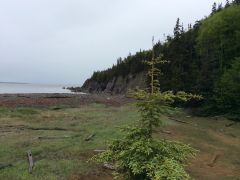 On the way to Cape Enrage NB