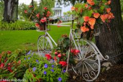 Flower-filled Bike