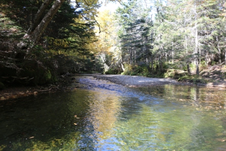 Pinkham Notch, NH       Visit our blog at:    www.monacotravels.net