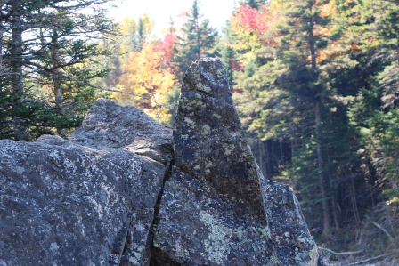 Thumb Rock, Lost Pond Trail at Pinkham Nothch, NH       Visit our blog at:    www.monacotravels.net