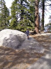 Ray playing on the rocks