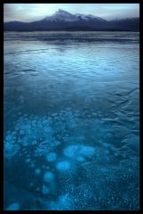 Abraham Lake, Alberta, frozen bubbles of Methane Gas
