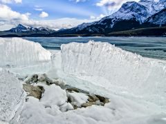 Ice on shrinking Abraham Lake, Alberta