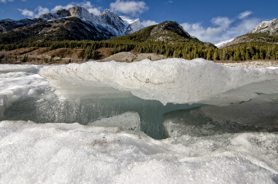 Ice on shrinking Abraham Lake, Alberta