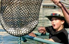 Grandson's big catch, Lake Havasu