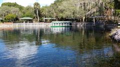 Glass Bottom Boat Silver Springs State Park, FL