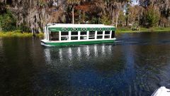 Glass bottom boat  Silver Springs State Park, Fl