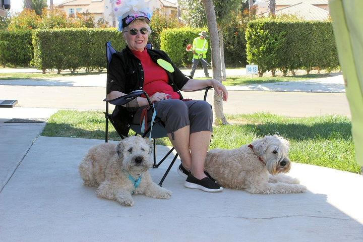 Chow16-17  Judy Schorling with Andy & Sullivan.jpg