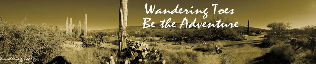 Riding in the Wilderness - Sonoita, Arizona - ATV Tour to The Empire Ranch