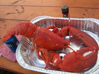 644305050_Lobster022.thumb.jpg.45f005402888ad094b8eba316ce687b8.jpg